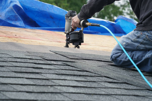 Best Roof Gutter Cleaning  in Colma, CA
